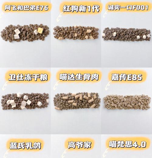 蜂窝结构猫粮有哪些优点和缺点？