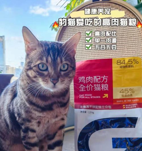 豹猫无奶可吃什么猫粮好？如何为豹猫选择合适的猫粮？