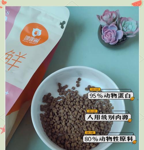 猫益生菌怎么做成猫粮？这样做对猫咪有益吗？
