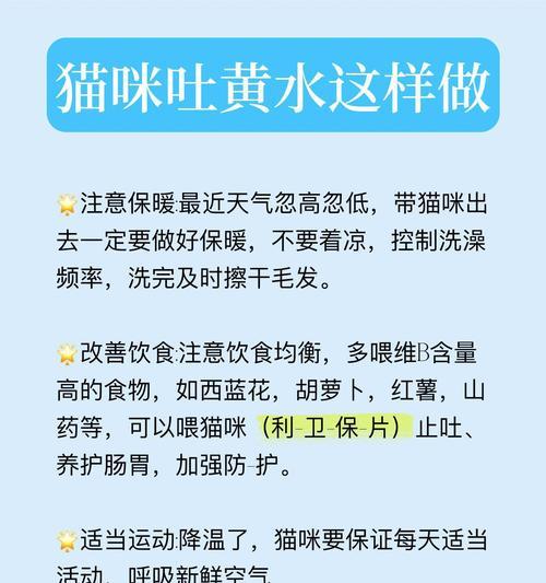 猫吃猫粮过量吐黄水如何处理？