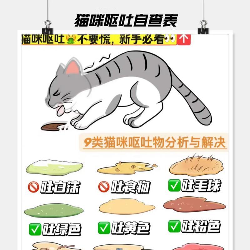 猫咪吐出大粒猫粮怎么办？如何防止这种情况发生？