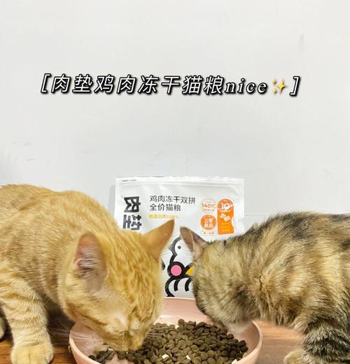 猫咪对猫粮不感兴趣，原因是什么？