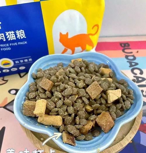 猫粮中的沙门氏菌是什么？对猫咪有何影响？