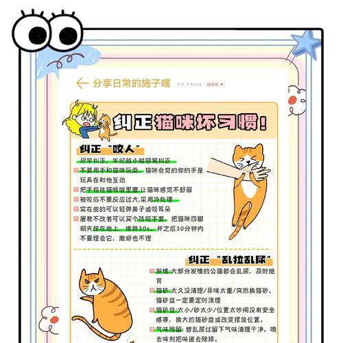 如何训练猫咪使用猫粮器？