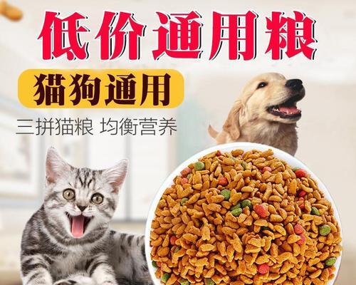 野猫没有猫粮应该喂它什么