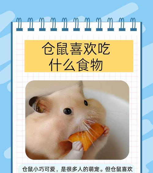 仓鼠可以吃火腿肠吗？