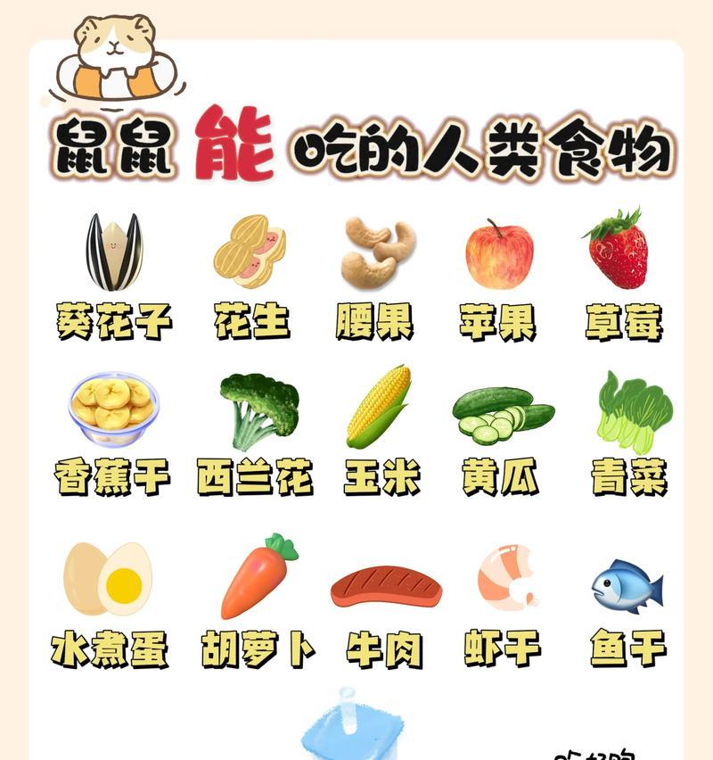 仓鼠可以吃火腿肠吗？