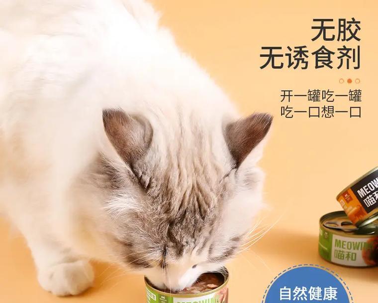 金吉拉食用猫粮和猫罐头会有何反应？