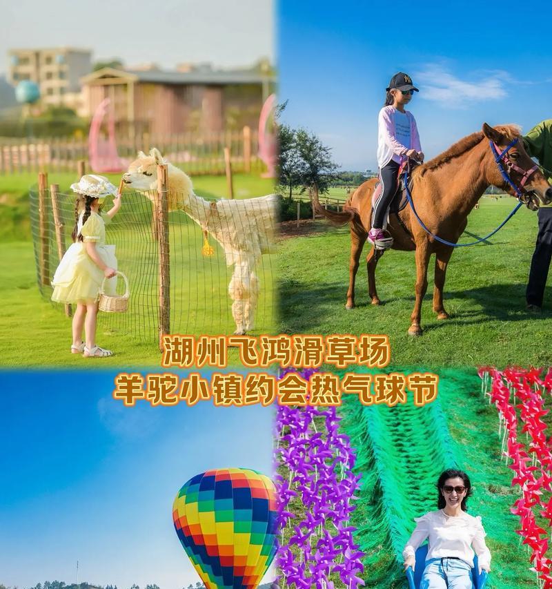 从毕节羊驼小镇到机场的交通方式有哪些？