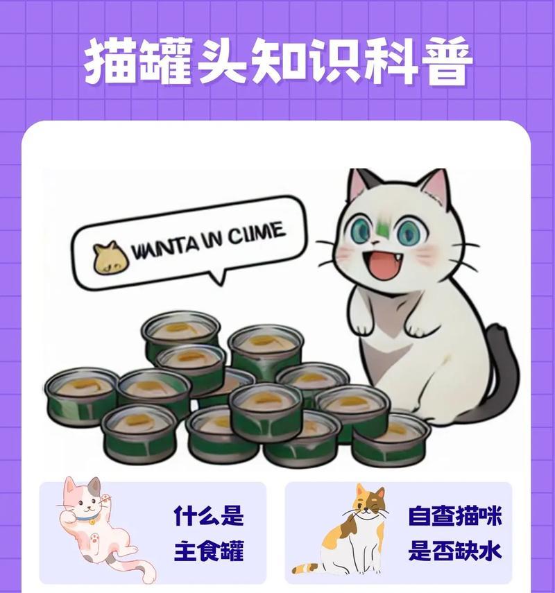 猫主食罐头如何正确更换？换粮过程中应注意什么？