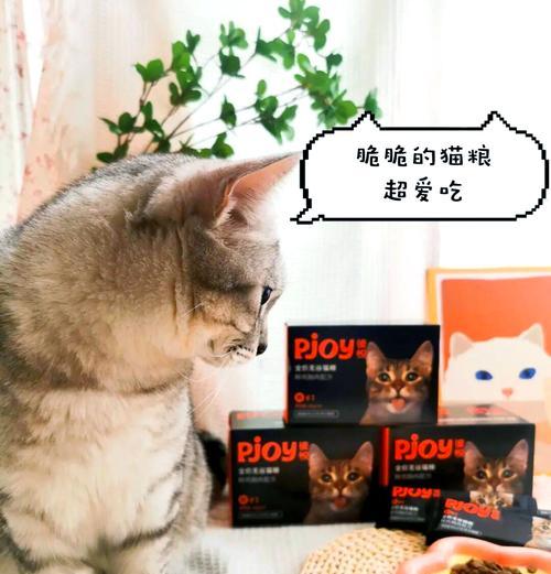 猫粮为何会变得非常脆？可能的原因是什么？