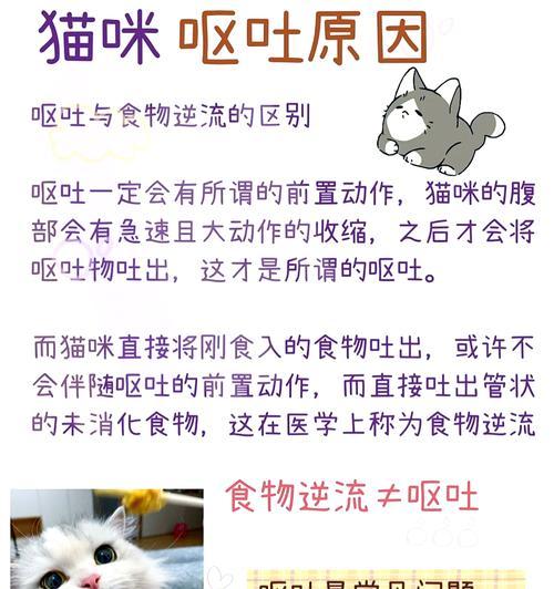 猫咪喝水后吐猫粮是疾病信号吗？如何处理这种情况？