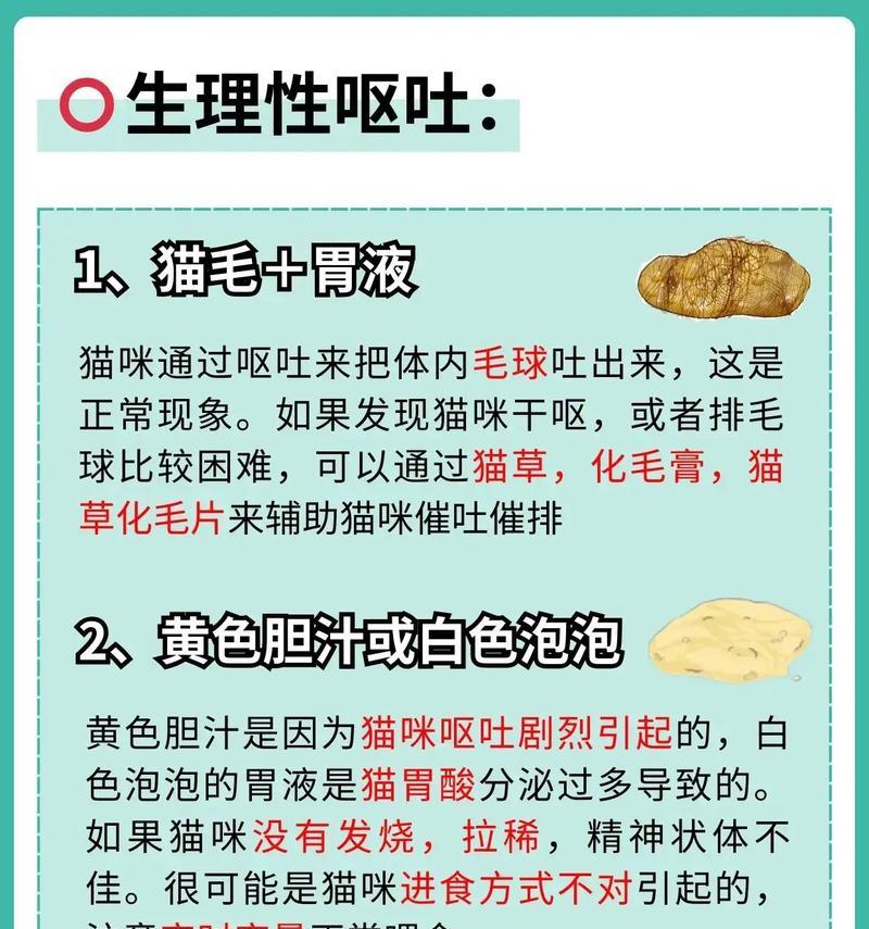 猫咪喝水后吐猫粮是疾病信号吗？如何处理这种情况？