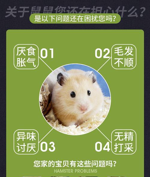 鼠粮和猫粮外观相似是怎么回事？两者有何不同？