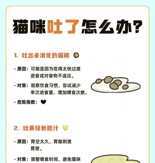 猫咪吐出的猫粮颜色异常代表什么？是否需要看兽医？