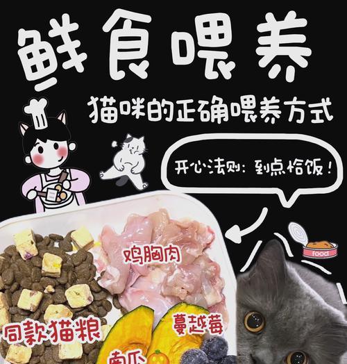 猫粮中添加什么蔬菜更合适？