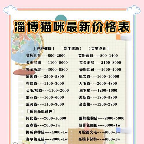 步行街通常何时销售猫粮？有哪些优惠活动？
