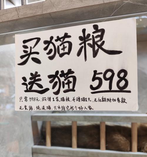 步行街通常何时销售猫粮？有哪些优惠活动？