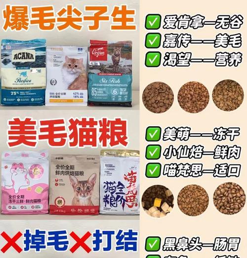 猫粮如何帮助减少猫咪掉毛？