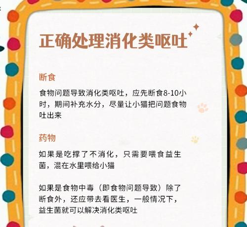 猫粮导致拉白便便应该吃什么药？如何预防猫粮引起的消化问题？