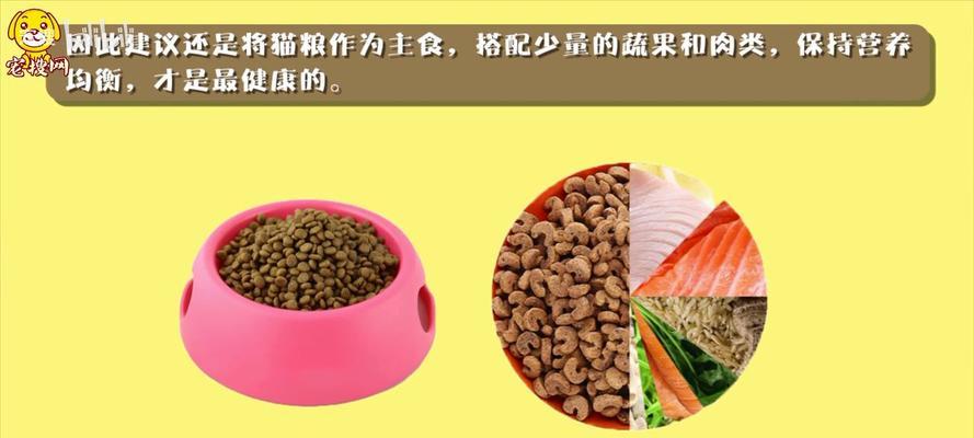 燕麦如何制作应急猫粮？燕麦对猫的健康有什么影响？