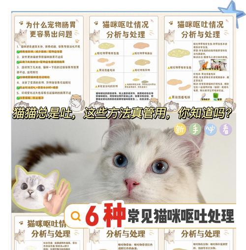 猫咪吐粮和毛发怎么办？如何处理和预防这种情况？