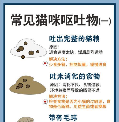 猫咪吐粮和毛发怎么办？如何处理和预防这种情况？