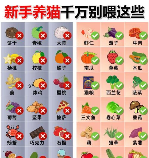 猫粮中毒后应采取哪些紧急措施？