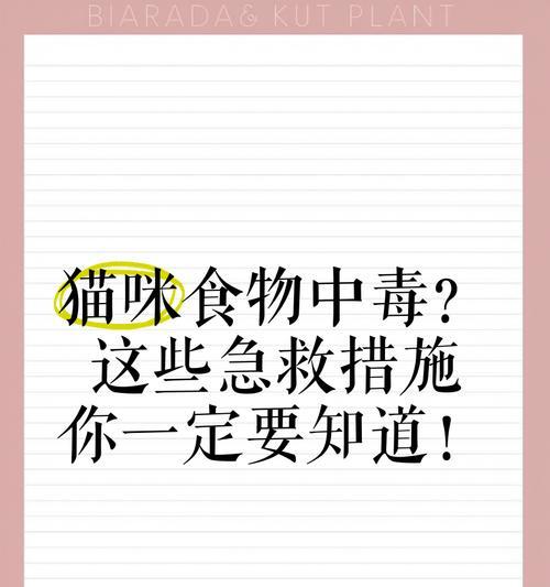 猫粮中毒后应采取哪些紧急措施？