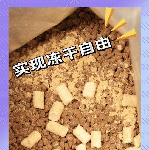 如何用龙来装猫粮？这个说法背后有什么寓意？