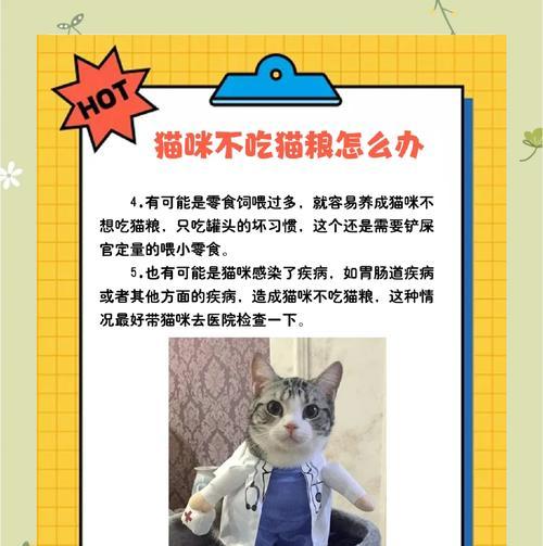 新猫咪拒食猫粮的原因及解决方法？