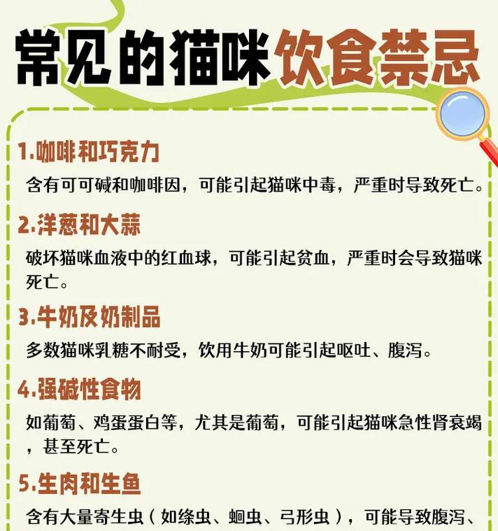 过量喂食猫粮对猫咪有何危害？如何控制食量？