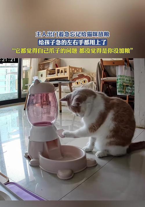 猫咪用爪子吃猫粮是否合适？