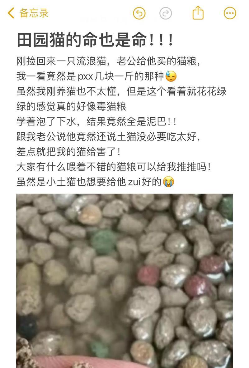猫咪为何会讨厌不新鲜猫粮？有哪些猫不喜欢陈旧猫粮？