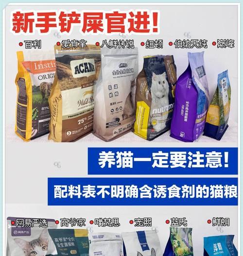 哪个品牌的盆装猫粮最好？如何选择适合自家猫咪的猫粮？