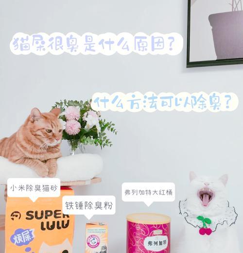 猫粮导致猫咪排泄物臭的原因是什么？