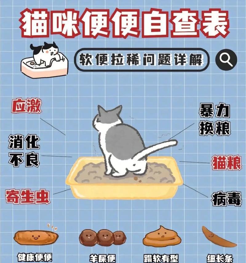 猫粮导致猫咪排泄物臭的原因是什么？