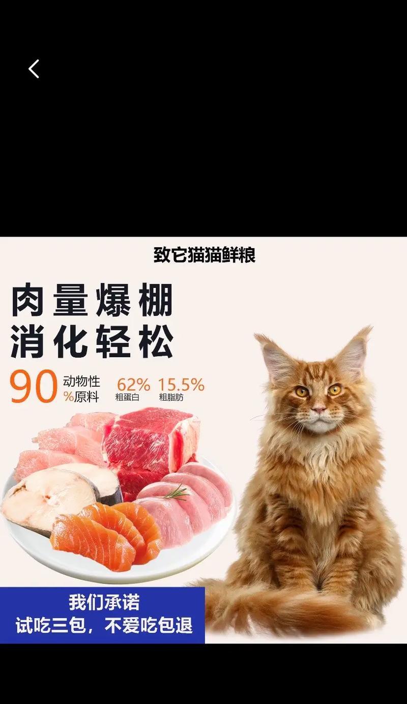 湿猫粮保存的最佳方法是什么？