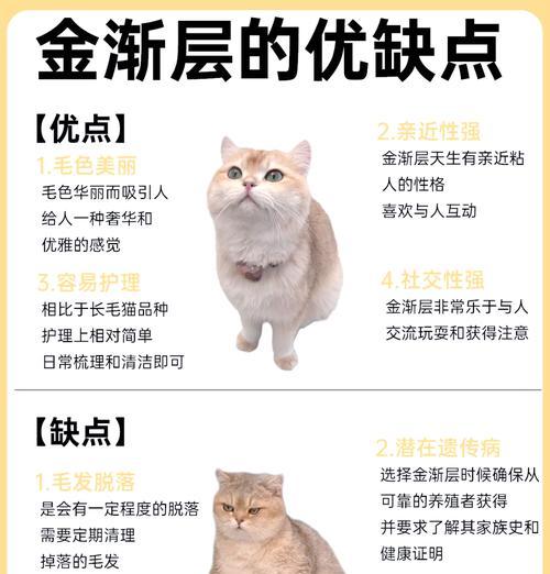 送猫粮给朋友时怎样表达更贴心？如何选择合适的猫粮？