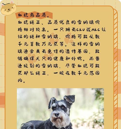 雪纳瑞生产造型的费用是多少？