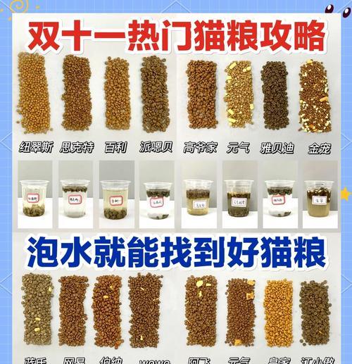 泡猫粮用什么水比较好？如何正确泡制猫粮？