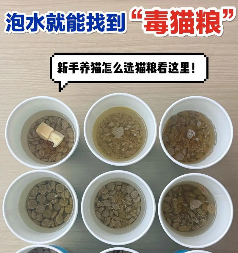 泡猫粮用什么水比较好？如何正确泡制猫粮？