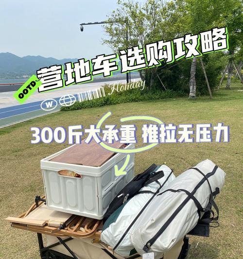 露营车如何装载猫粮以保持安全和卫生？