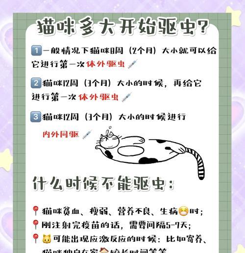 如何存储猫粮以防止米桶生虫？