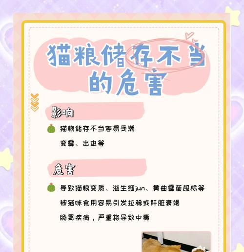 如何存储猫粮以防止米桶生虫？