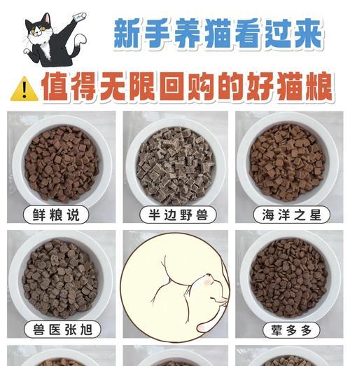 猫粮开封后无味道是怎么回事？是否影响猫咪食欲？