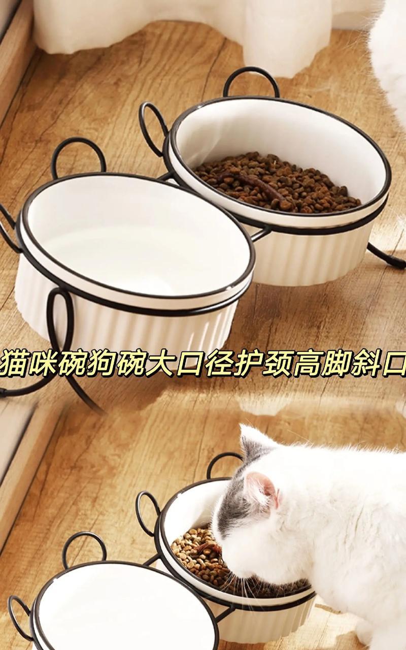 猫粮在碗里的声音是什么？这是否正常？