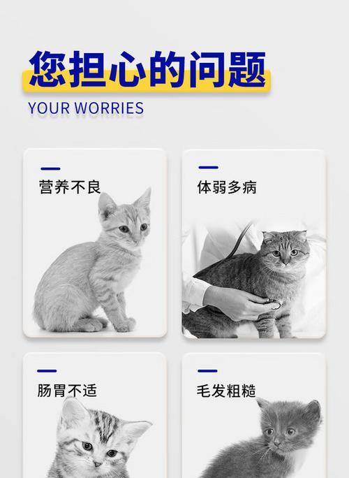 台派猫粮为何价格低廉？品质如何？