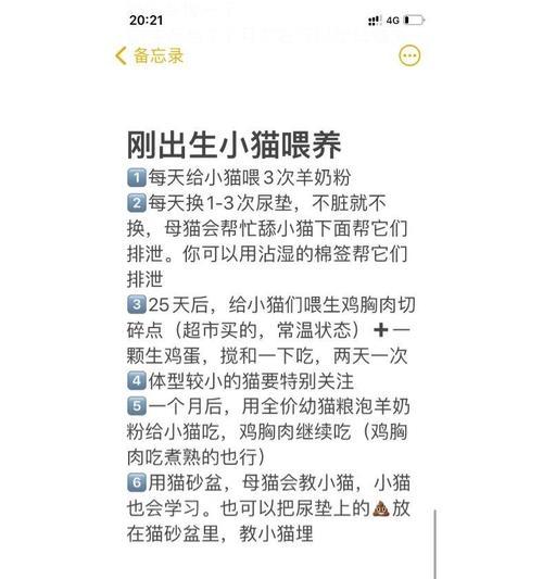 母猫应该吃什么类型的猫粮？如何选择合适的猫粮？