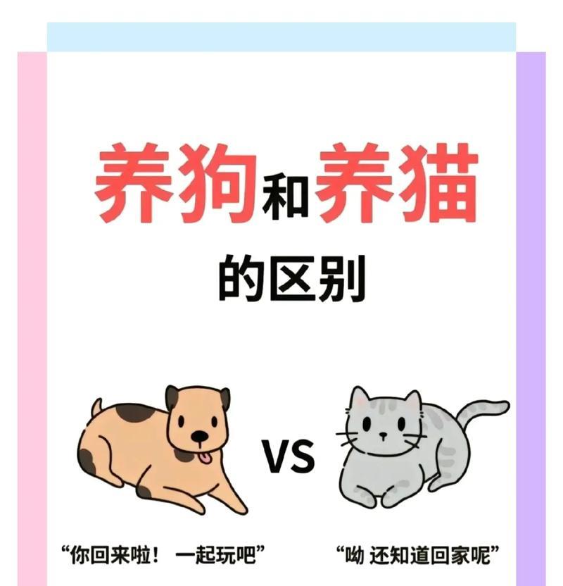 猫偷猫粮怎么遛狗的呢？如何防止猫狗争食？